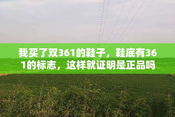 我买了双361的鞋子，鞋底有361的标志，这样就证明是正品吗