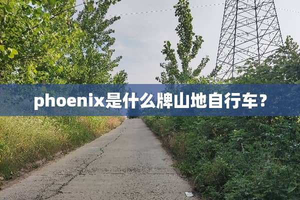 phoenix是什么牌山地自行车？