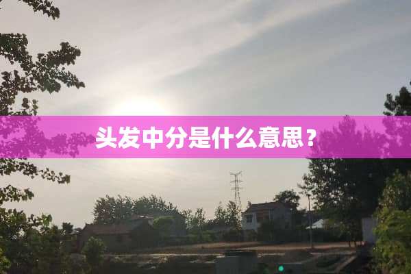 头发中分是什么意思？