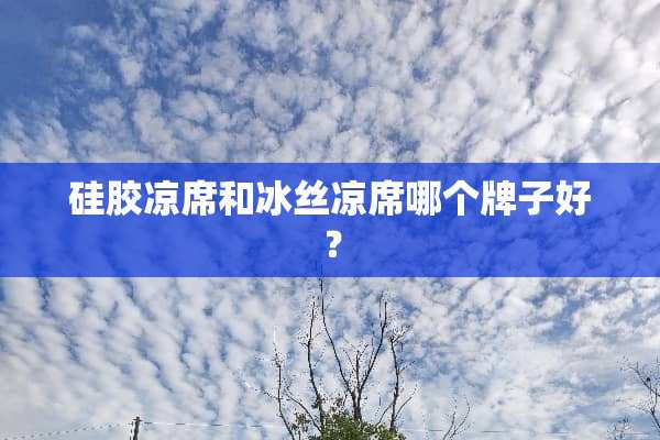 硅胶凉席和冰丝凉席哪个牌子好？