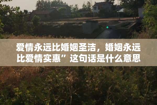 爱情永远比婚姻圣洁，婚姻永远比爱情实惠”这句话是什么意思啊？？