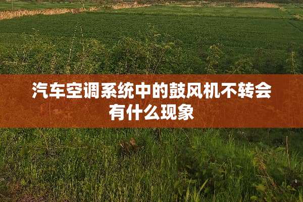 汽车空调系统中的鼓风机不转会有什么现象