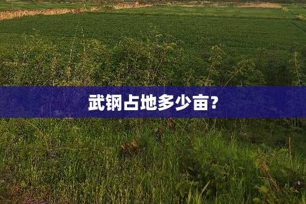 武钢占地多少亩？