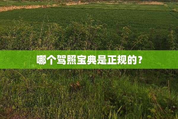哪个驾照宝典是正规的？