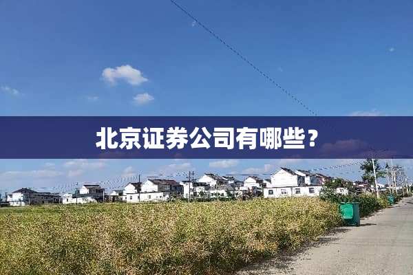 北京证券公司有哪些？