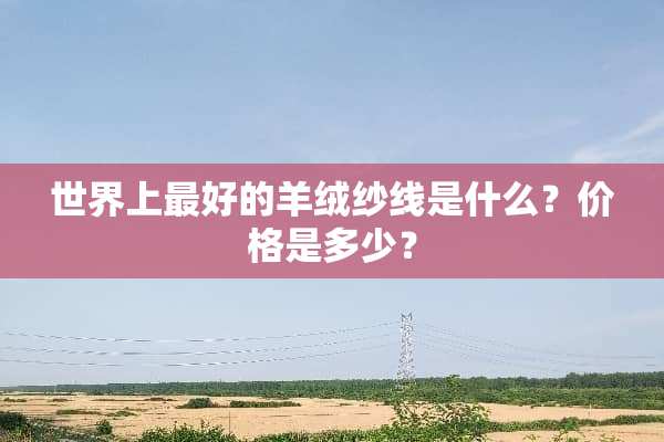 世界上最好的羊绒纱线是什么？价格是多少？