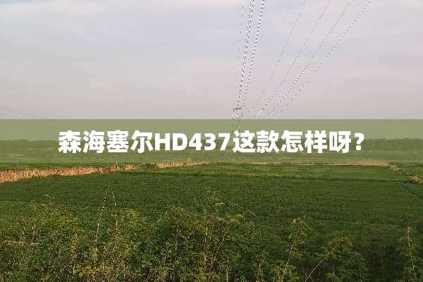 森海塞尔HD437这款怎样呀？