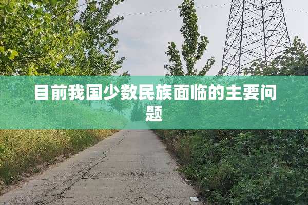 目前我国少数民族面临的主要问题