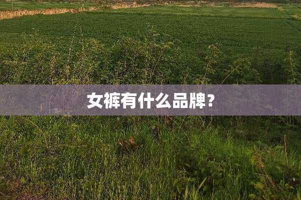 女裤有什么品牌？
