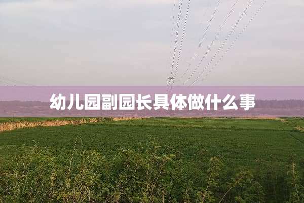 幼儿园副园长具体做什么事