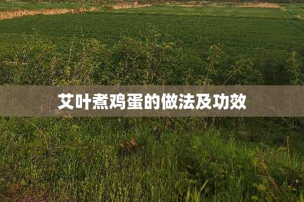 艾叶煮鸡蛋的做法及功效