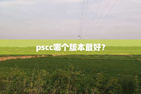pscc哪个版本最好？