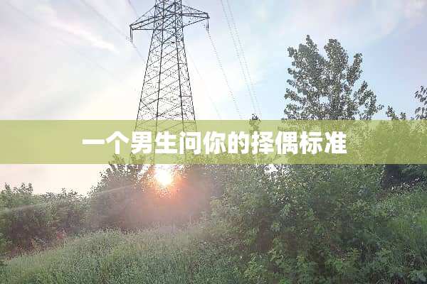 一个男生问你的择偶标准