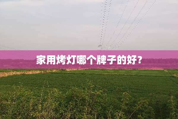 家用烤灯哪个牌子的好？