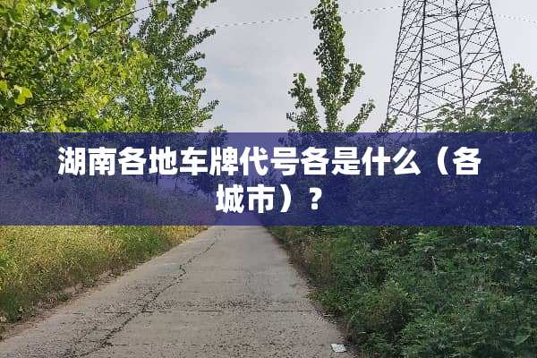 湖南各地车牌代号各是什么（各城市）？