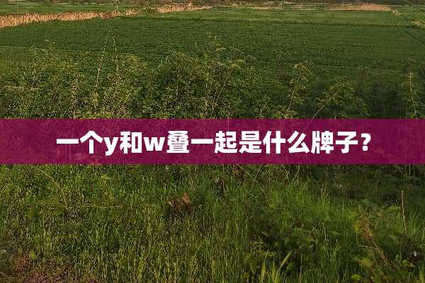 一个y和w叠一起是什么牌子？