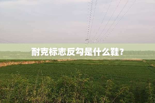 耐克标志反勾是什么鞋？