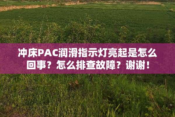 冲床PAC润滑指示灯亮起是怎么回事？怎么排查故障？谢谢！
