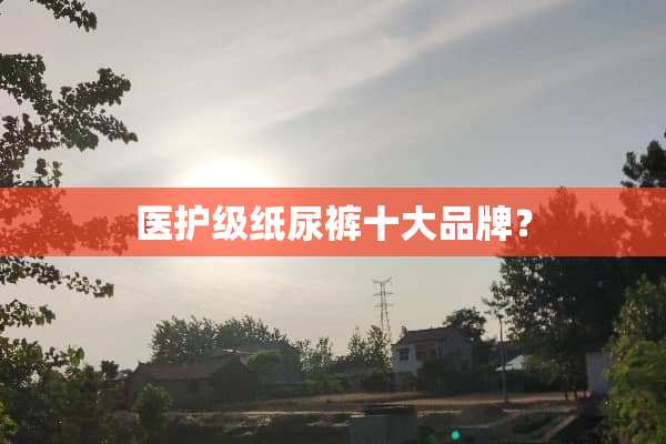 医护级纸尿裤十大品牌？