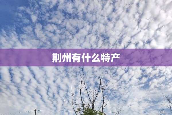 荆州有什么特产