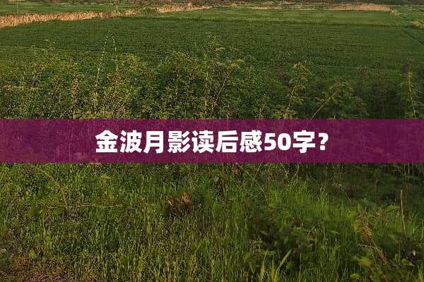 金波月影读后感50字？