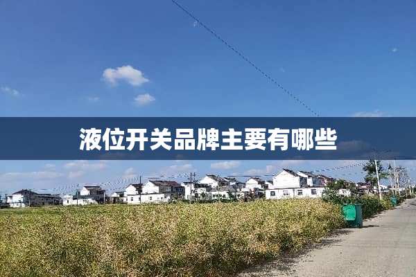 液位开关品牌主要有哪些