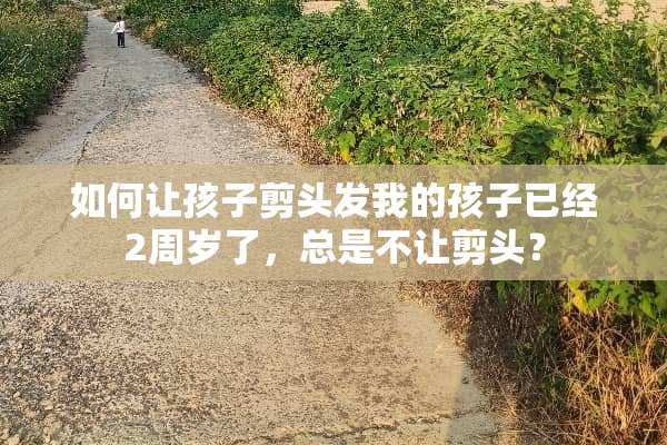 如何让孩子剪头发我的孩子已经2周岁了，总是不让剪头？