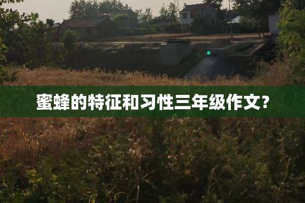 蜜蜂的特征和习性三年级作文？
