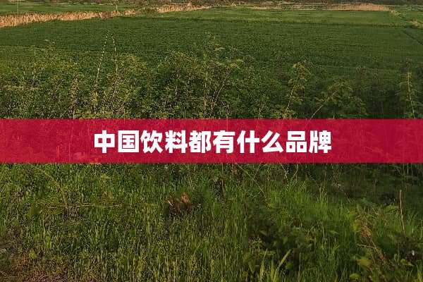 中国饮料都有什么品牌