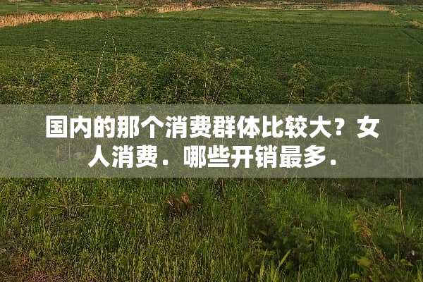 国内的那个消费群体比较大？女人消费．哪些开销最多．