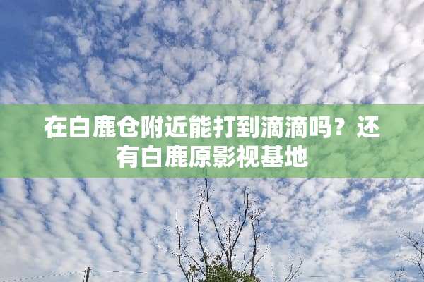 在白鹿仓附近能打到滴滴吗？还有白鹿原影视基地