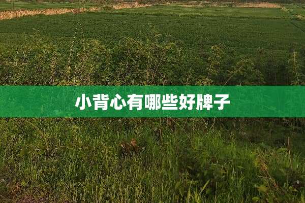 小背心有哪些好牌子