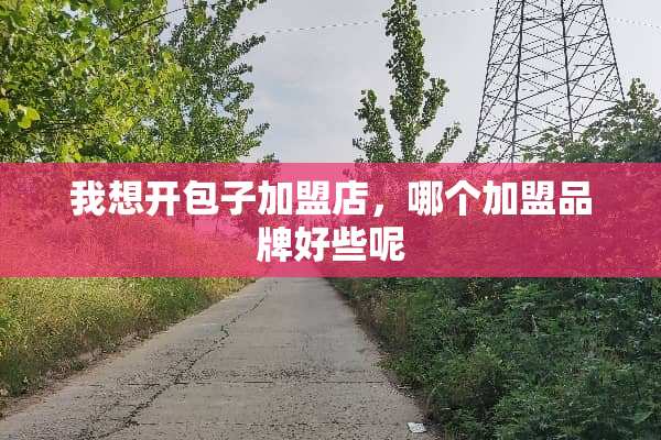 我想开包子加盟店，哪个加盟品牌好些呢