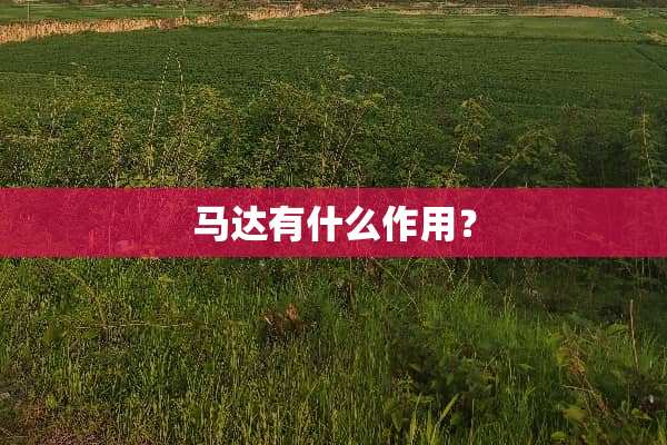 马达有什么作用？