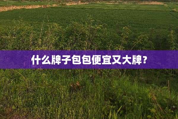 什么牌子包包便宜又大牌？