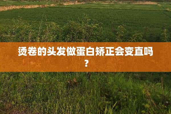 烫卷的头发做蛋白矫正会变直吗？