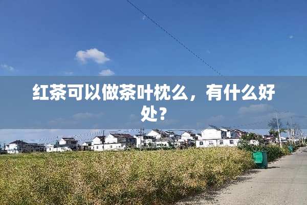 红茶可以做茶叶枕么，有什么好处？