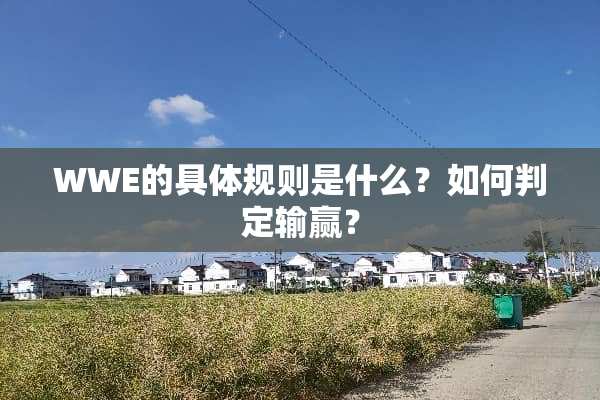 WWE的具体规则是什么？如何判定输赢？