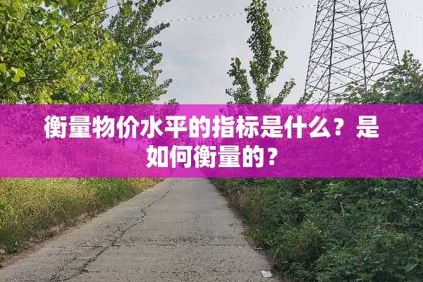 衡量物价水平的指标是什么？是如何衡量的？