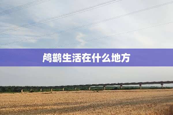 鸬鹚生活在什么地方