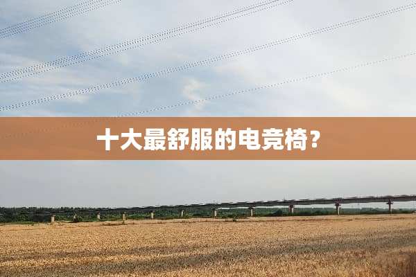 十大最舒服的电竞椅？
