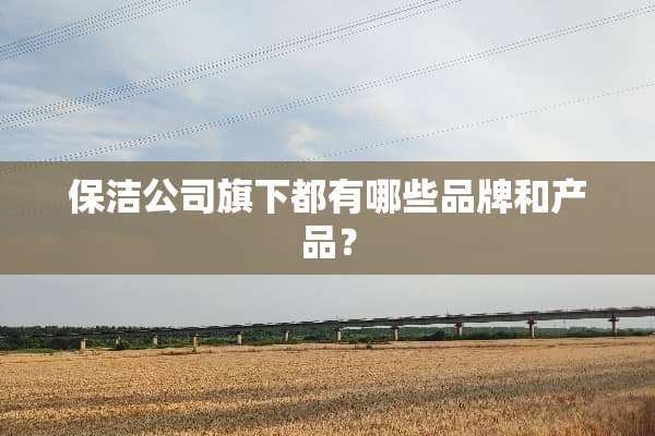 保洁公司旗下都有哪些品牌和产品？