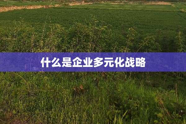 什么是企业多元化战略