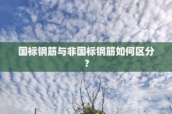 国标钢筋与非国标钢筋如何区分？