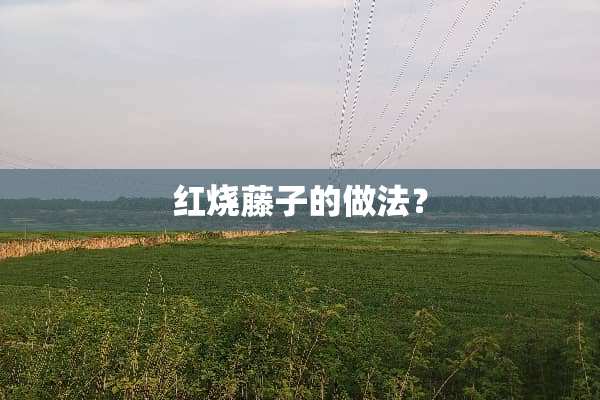 红烧藤子的做法？