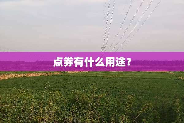 点券有什么用途？