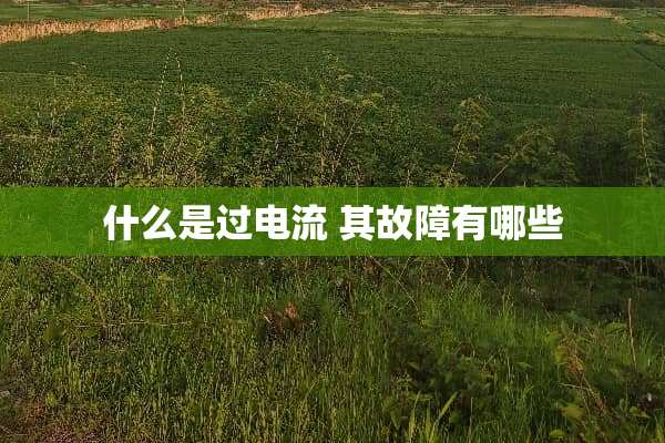 什么是过电流 其故障有哪些