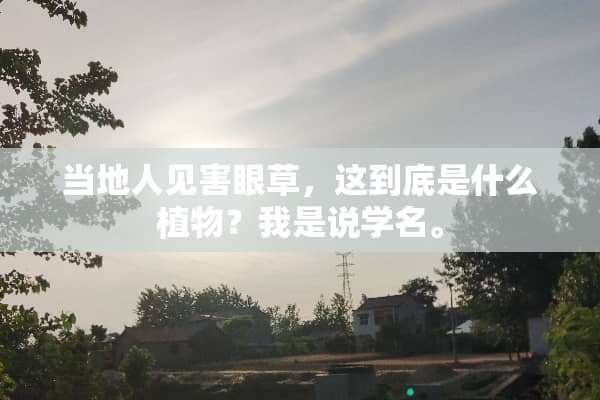 当地人见害眼草，这到底是什么植物？我是说学名。