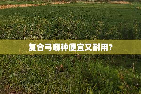 复合弓哪种便宜又耐用？