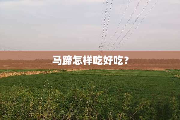 马蹄怎样吃好吃？